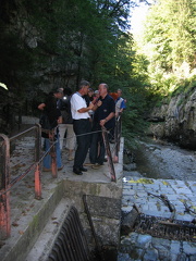 IMG 1549